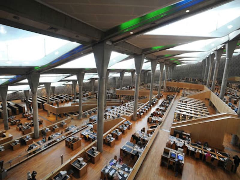 1st Place - Math Olympiad - Alexandria Mathematics Olympiad